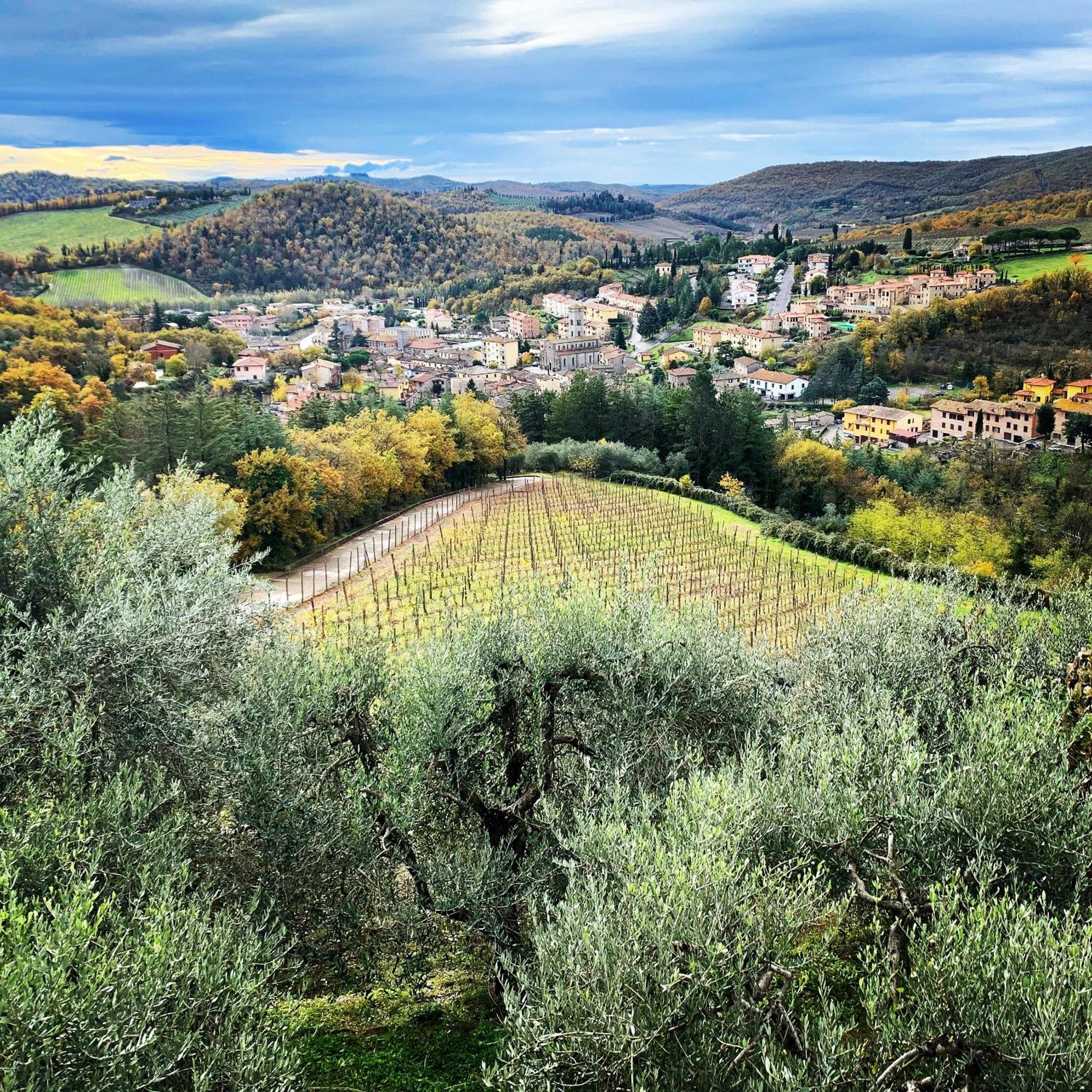 Capannelle Wine Resort Gaiole in Chianti Eksteriør billede