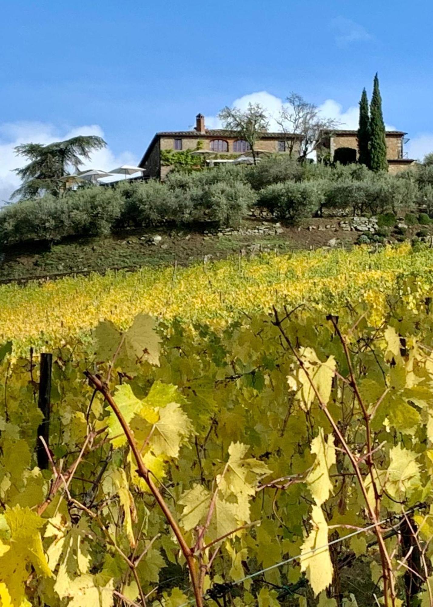 Capannelle Wine Resort Gaiole in Chianti Eksteriør billede