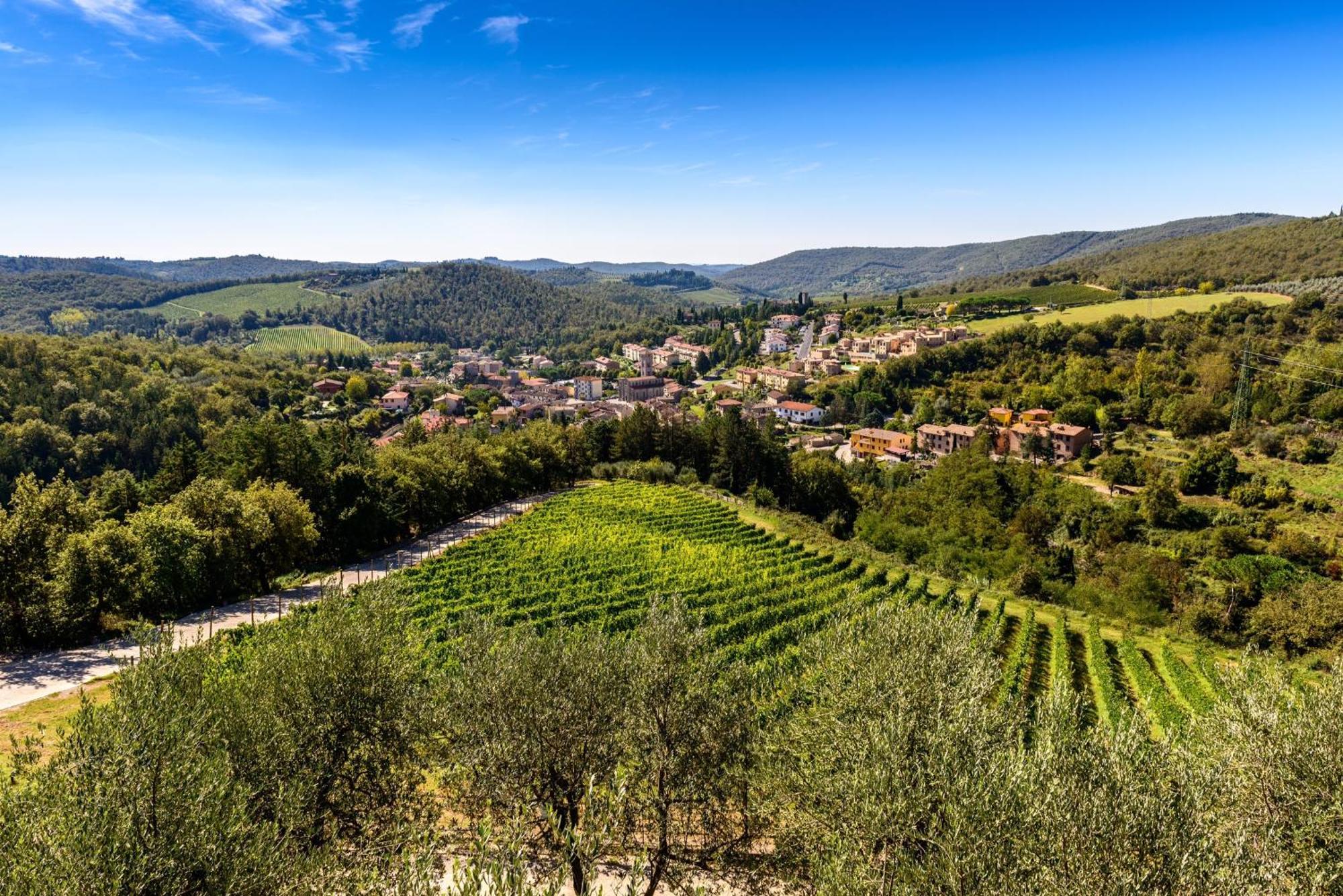 Capannelle Wine Resort Gaiole in Chianti Eksteriør billede