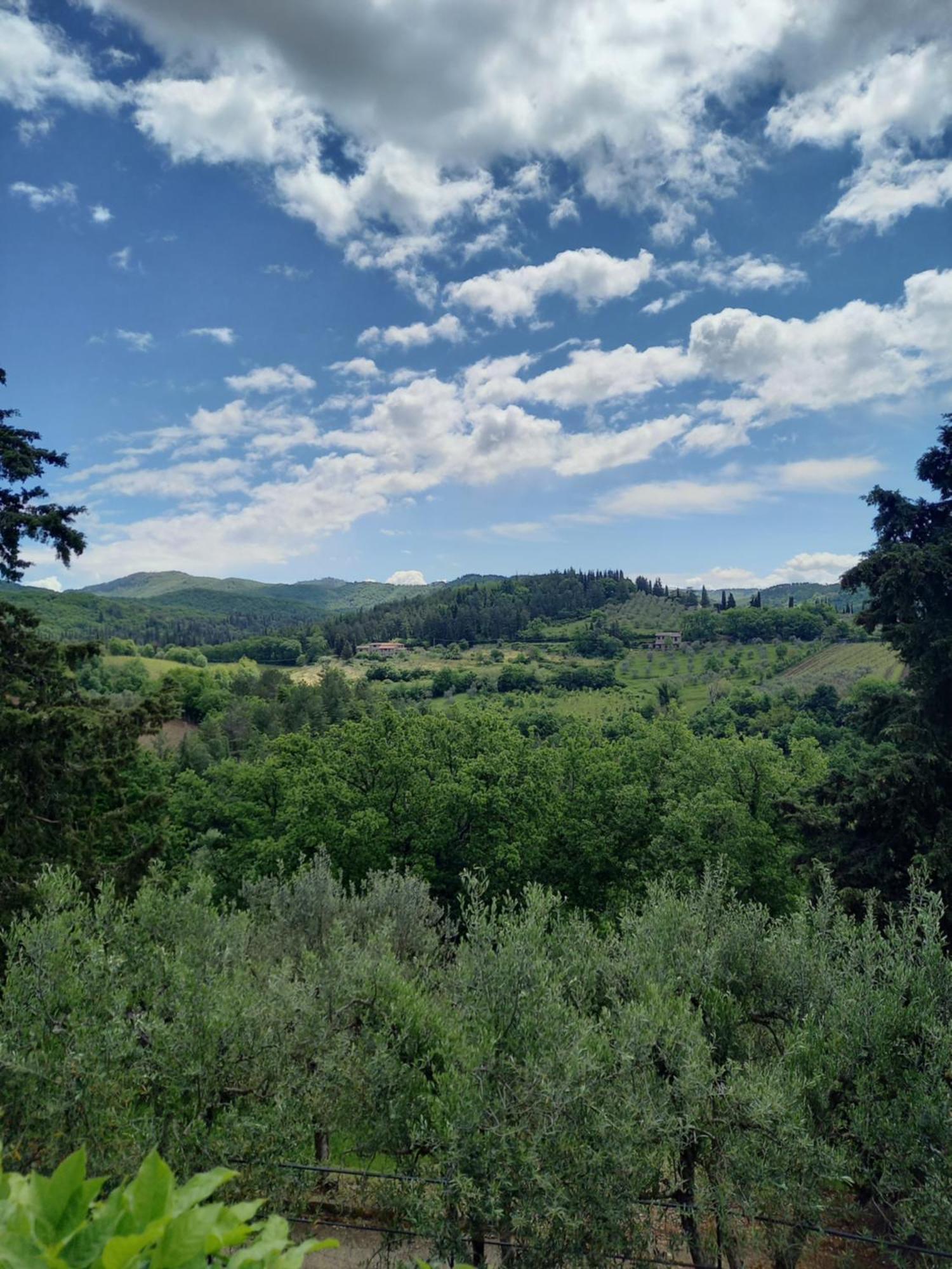Capannelle Wine Resort Gaiole in Chianti Eksteriør billede